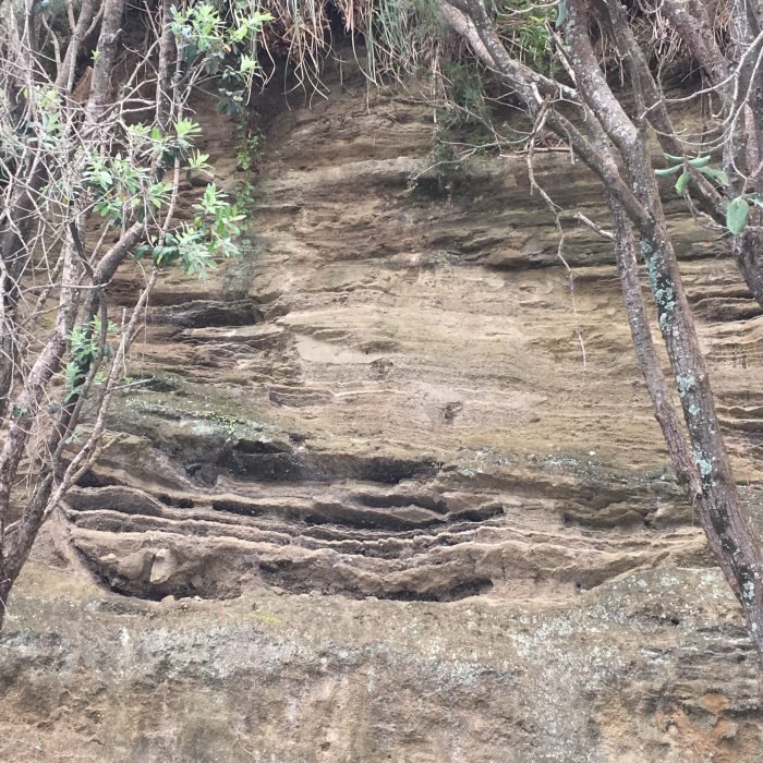 In some layers you can actually see the carbon remains of the ash.